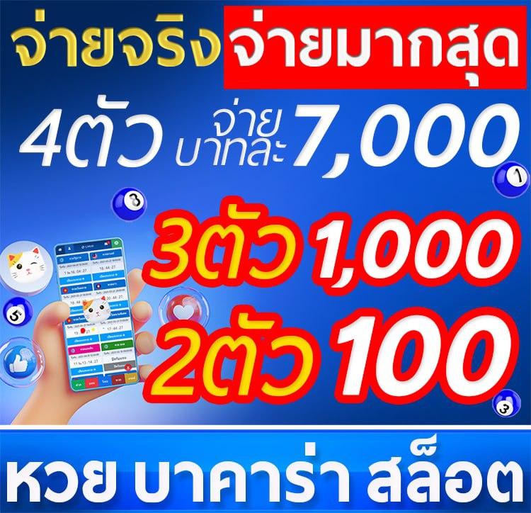 CAT8888 หวยออนไลน์ แทงหวย ฮานอย ลาว ยี่กี สมัครฟรี 100%